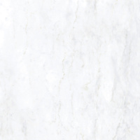 Керамическая плитка BIANCO BERNINI LAPP RETT	120X120