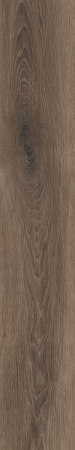 Керамогранит ECO CHIC BROWN RET  20X170