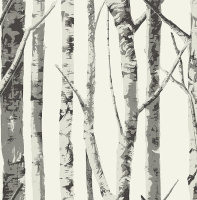 Обои KT-Exclusive Eco Chic 2 ec50000