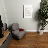 Дуб Торонто