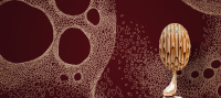 GEO.56