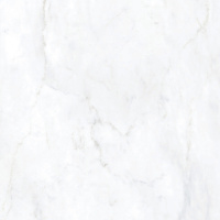 Керамическая плитка BIANCO BERNINI LAPP RETT	120X120