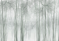 Фрески, Каталог Ботаника, арт. ID139258