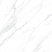 Плитка Satuario Platina 60x60 Polished