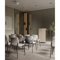 Комплект акуст.панелей, черный войлок, 600х300х19мм, рейки ЭКОПОЛИМЕР, платина матовая/2шт.