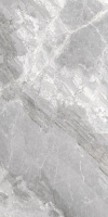 Керамогранит SUPREME SILVER NAT RET 60x120