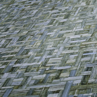 Обои ARCHITECTS PAPER Jungle Chic (37706-3)