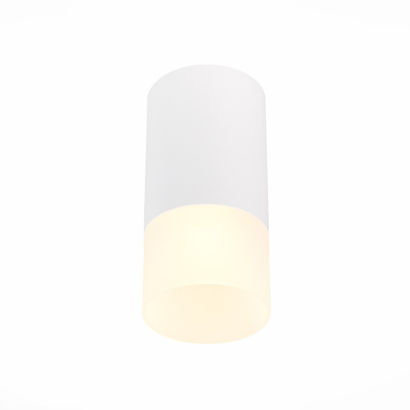 Светильник потолочный ST Luce ST100.512.01