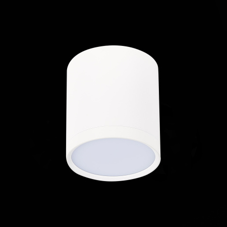 Светильник потолочный St Luce RENE 5W ST113.542.05