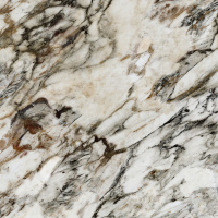 Керамогранит RHAPSODY FANTASY LEV RET 60X60