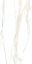 Керамогранит  I CLASSICI CAL.GOLD 6MM GLOSSY 160X320