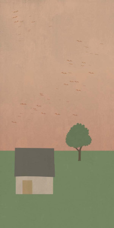 Керамическая плитка W&S D+ COUNTRY B  160X320