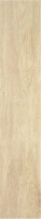 TACORA BEIGE MT 23X120