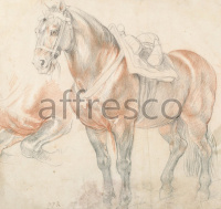 Картина: Peter Paul Rubens, Saddled Horse