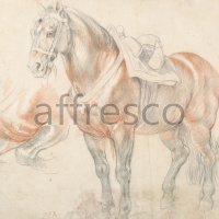 Картина: Peter Paul Rubens, Saddled Horse