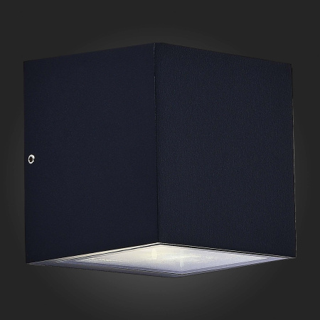 Светильник уличный настенный ST Luce CIPRIA SL9002.401.01