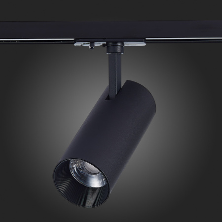 Трековый светильник St Luce MONO ST350.446.20.36