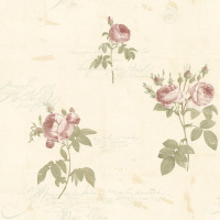 Обои AURA Rose Garden (CG28861)