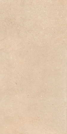 Керамогранит AUTHENTIC LUX ST DORD MATL 60X120 6MM