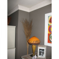 C303 Карниз Orac Decor из полиуретана - Плинтус потолочный с рисунком