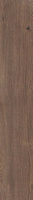 Керамогранит 4 SEASONS  CHOCOLATE     NAT R20X120