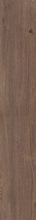 Керамогранит 4 SEASONS  CHOCOLATE     NAT R20X120