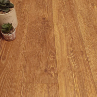 Дуб Торонто