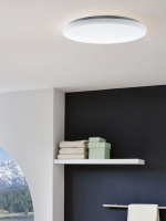 Потолочный светильник GIRON 97526