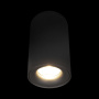 Потолочный светильник Tictac Loft It (Light for You) 10220 Black 3000K