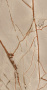 Керамогранит NATURE MOOD RAINFORE. COMF.9MM 60X120 RET