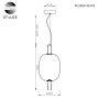 Светильник подвесной ST-Luce ALLENORE SL1582.313.01