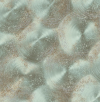 Обои Aura Reclaimed FD22340