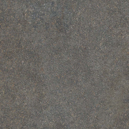 Керамогранит NATIVE FOREST LAP RET	120X120