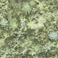 Обои AURA Evergreen (7320)