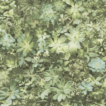 Обои AURA Evergreen (7320)