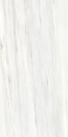 Керамогранит LES ORIGINES DE REX  OMBRE DOREE GLOSSY 60X120