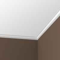 Карниз из полиуретана 1.50.191 Европласт - Плинтус потолочный с рисунком