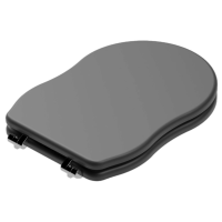 Крышка с сиденьем для подвесного унитаза с микролифтом GSG Ceramic Design Time TICOPRCCCR003, черный матовый TICOPRCCCR003