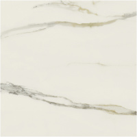Керамогранит I CLASSICI CAL.GOLD 6MM MATTE 80X80 RET