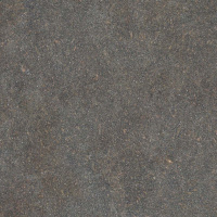 Керамогранит NATIVE FOREST RET	120X120