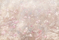 Фрески, Каталог Ботаника, арт. ID137717