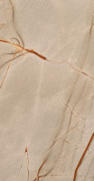 Керамогранит NATURE MOOD RAINFORE.GLOSS.9MM 60X120 RET