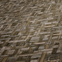 Обои ARCHITECTS PAPER Jungle Chic (37706-1)