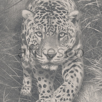 Фрески, Каталог Сюжеты, арт. ID136554