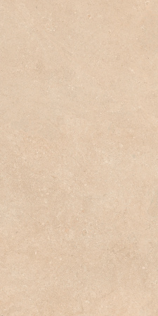 Керамогранит AUTHENTIC STONE DORDOGNE LEATHER MATTE 60x120 RET