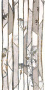 Керамогранит MAJESTIC PURE GROVE LEV/RET 60x119,5