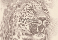 Фрески, Каталог Сюжеты, арт. ID136552