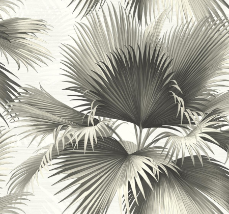 Обои KT-Exclusive Palm Springs PS40100