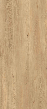 Керамогранит 4 SEASONS  HONEY NAT R120X280