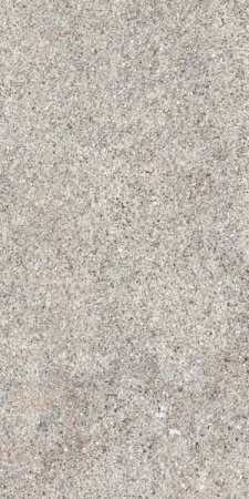 Керамогранит NATIVE ASH RET  30X60